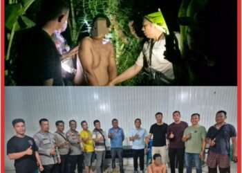Tanam Ganja di Balik Tembok, Pria di Tanjung Morawa Diciduk Polisi! 40 Batang Setinggi 2 Meter Disita