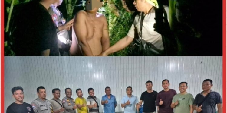 Tanam Ganja di Balik Tembok, Pria di Tanjung Morawa Diciduk Polisi! 40 Batang Setinggi 2 Meter Disita