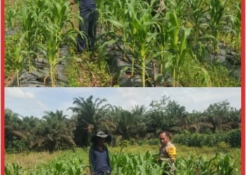 Kapolsek Bandar Sei Kijang Tegaskan Dukungan Penuh Ketahanan Pangan