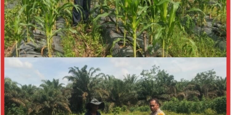 Kapolsek Bandar Sei Kijang Tegaskan Dukungan Penuh Ketahanan Pangan