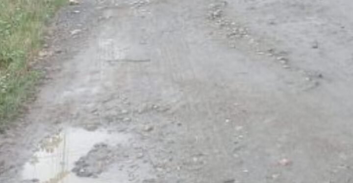 Kondisi Jalan Pasar Baru Tanjung Ibus Memperihatinkan, Warga Berharap Perhatian Serius Pemkab Langkat 