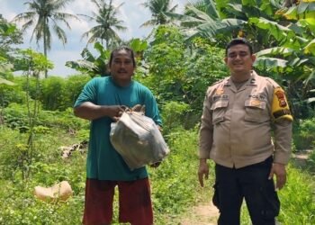 Polsek Kulim Monitoring Lahan Program Ketahanan Pangan di Mentangor