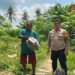 Polsek Kulim Monitoring Lahan Program Ketahanan Pangan di Mentangor