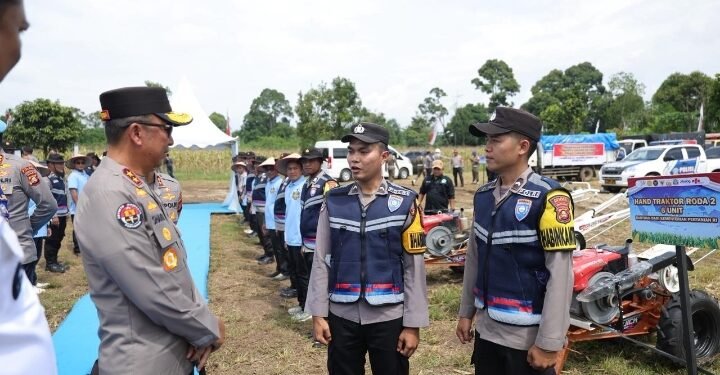 Pusatkan Panen Raya di OKU Selatan, Polda Sumsel Pasok Puluhan Ton Jagung ke Bulog