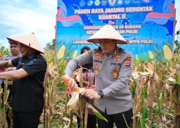 ‎Polres Pidie Hadiri Panen Raya Jagung Serentak Kuartal II, Dukung Swasembada Pangan Nasional