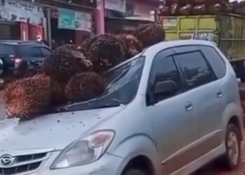 Buah Sawit Jatuh dari Truk, Mobil Innova Rusak Parah di Sukamara
