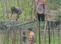 Bhabinkamtibmas Bukit Nenas Turun Langsung Kawal Ketahanan Pangan, Tanaman Kacang Panjang Tumbuh Subur