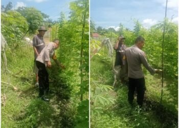 Bhabinkamtibmas Bagan Besar Timur Turun Langsung Pantau Pekarangan Pangan Bergizi Milik Warga.