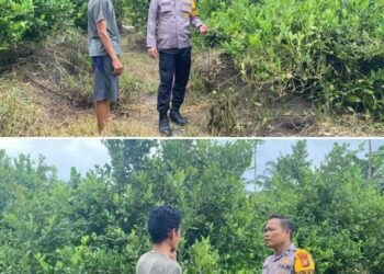Bhabinkamtibmas Bukit Datuk Aktif Lakukan Pengecekan Perkarangan Pangan Bergizi Petani Wilayah Binaannya 