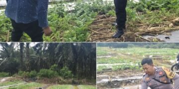 Bhabinkamtibmas Bukit Kayu Kapur Aktif Dampingi Petani, Pastikan Program Ketahanan Pangan Berjalan Optimal
