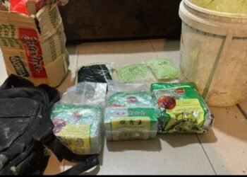 Pengungkapan Jaringan Narkoba Internasional di Karimun, Polisi Sita Sabu dan Ribuan Pil Ekstasi