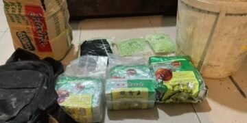 Pengungkapan Jaringan Narkoba Internasional di Karimun, Polisi Sita Sabu dan Ribuan Pil Ekstasi