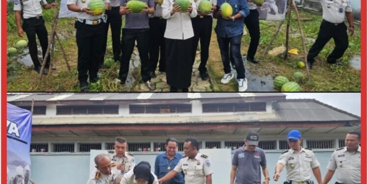 Dari Lahan 160 Meter Persegi, Lapas Pangkalpinang Hasilkan 231 Kg Semangka Berkualitas