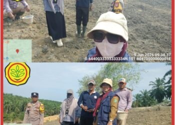 Pengecekan Usia 5 Hari: Polsek Lubuk Dalam Awasi Pertumbuhan Jagung Pipil di Rawang Kao
