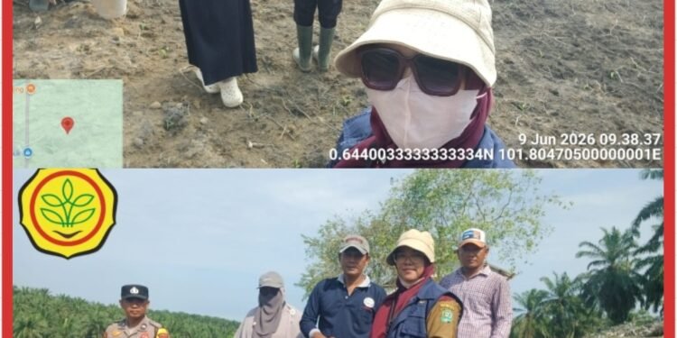 Pengecekan Usia 5 Hari: Polsek Lubuk Dalam Awasi Pertumbuhan Jagung Pipil di Rawang Kao