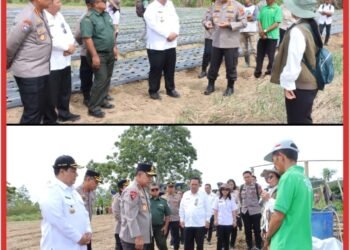 Kapolda Sumut Tinjau Sentra Bawang Putih di Samosir, Tegaskan Dukungan Polri untuk Ketahanan Pangan Nasional