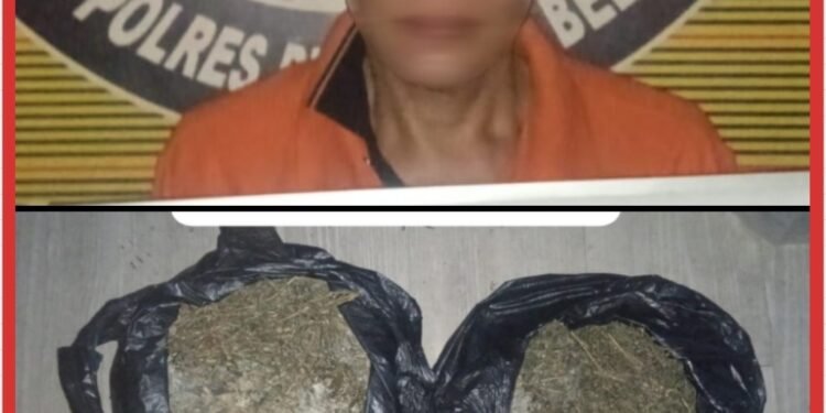 Sat Narkoba Polres Pelabuhan Belawan Tangkap Pengedar Ganja Asal Aceh, Sita 840 Gram Ganja Kering