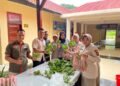 Polres Lingga Panen Perdana Pakcoy 50 Kg di Lahan Belakang Mapolres, Hasilnya Langsung Dibagikan ke Personel dan Masyarakat.