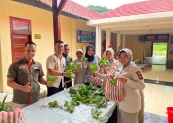 Polres Lingga Panen Perdana Pakcoy 50 Kg di Lahan Belakang Mapolres, Hasilnya Langsung Dibagikan ke Personel dan Masyarakat.
