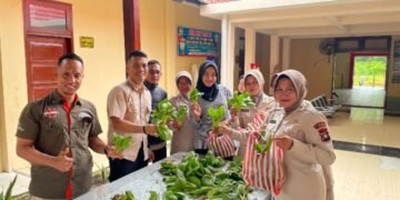Polres Lingga Panen Perdana Pakcoy 50 Kg di Lahan Belakang Mapolres, Hasilnya Langsung Dibagikan ke Personel dan Masyarakat.