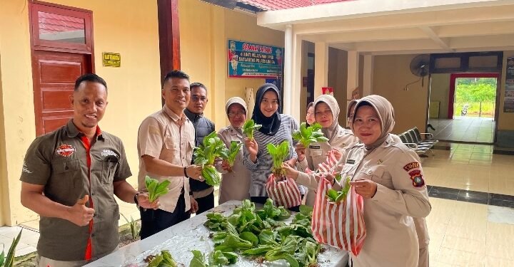 Polres Lingga Panen Perdana Pakcoy 50 Kg di Lahan Belakang Mapolres, Hasilnya Langsung Dibagikan ke Personel dan Masyarakat.