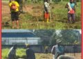 Semarakkan HUT RI di Perbatasan, Satgas Swasembada Yonif 643/Wns Koops TNI Habema dan Masyarakat Gelar Karya Bakti