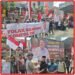 Dukung Bersih-Bersih Institusi, AMPP Desak Polri Pertahankan PTDH dan Pidanakan Kompol DK