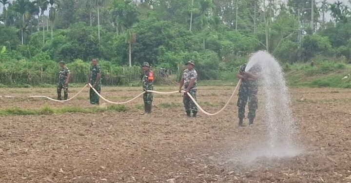 Cuaca Terik Tak Surutkan Semangat, Satgas TMMD Kodim 0102/Pidie Manfaatkan Armada Damkar TNI AD Siram Benih Jagung
