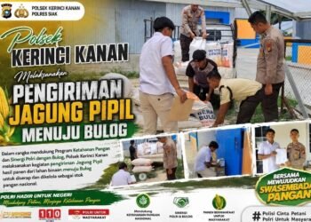 Polsek Kerinci Kanan Laksanakan Pengiriman Jagung Pipil ke BULOG, Wujud Nyata Dukungan Terhadap Ketahanan Pangan Nasional
