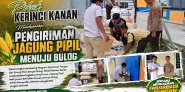 Polsek Kerinci Kanan Laksanakan Pengiriman Jagung Pipil ke BULOG, Wujud Nyata Dukungan Terhadap Ketahanan Pangan Nasional