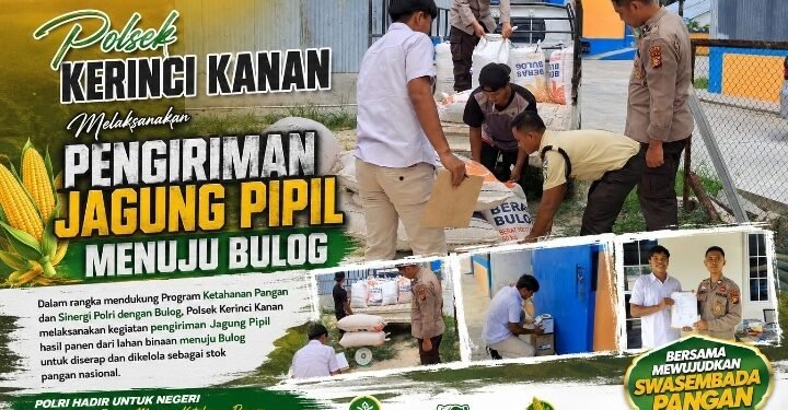 Polsek Kerinci Kanan Laksanakan Pengiriman Jagung Pipil ke BULOG, Wujud Nyata Dukungan Terhadap Ketahanan Pangan Nasional