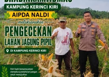 Bhabinkamtibmas Kampung Kerinci Kiri Laksanakan Pengecekan Lahan Jagung Pipil, Wujud Dukungan Polri Terhadap Ketahanan Pangan Nasional 