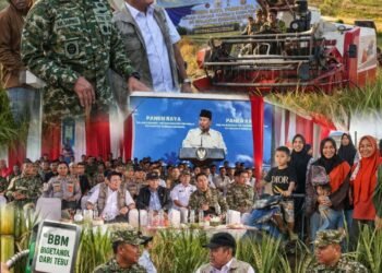 Disapa Langsung Presiden Prabowo, Pangdam II/Sriwijaya dan Gubernur Sumsel Pimpin Panen Raya Serentak di OKI