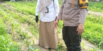 Bhabinkamtibmas Bersama PPL, Dampingi Petani Cek Tanaman Jagung Pipil di Sialang Palas