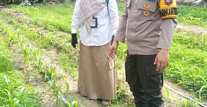 Bhabinkamtibmas Bersama PPL, Dampingi Petani Cek Tanaman Jagung Pipil di Sialang Palas