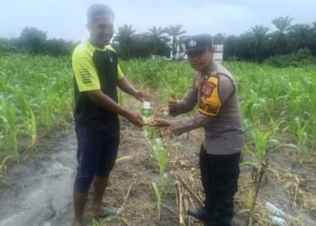 Polda Riau Dukung Swasembada Pangan, Bhabinkamtibmas Rawang KAO Serahkan Bantuan Inteksida Untuk Basmi Ulat Grayak