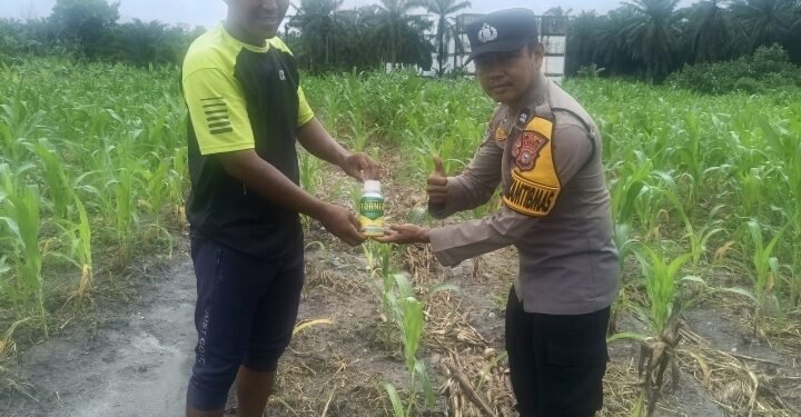 Polda Riau Dukung Swasembada Pangan, Bhabinkamtibmas Rawang KAO Serahkan Bantuan Inteksida Untuk Basmi Ulat Grayak