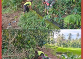 TNI Manunggal Air, Serka Imam Sungep Bersama Warga Kedung Banteng Gotong Royong Bersihkan Irigasi