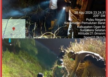 Operasi Aman Nusa II Tangani Karhutla di Pulau Negara Ogan Ilir