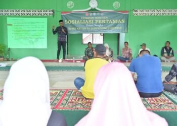 Bukan Sekadar Bangun Jalan, TMMD ke-129 Bekali Petani Lhok Panah dengan Ilmu Tingkatkan Hasil Pertanian