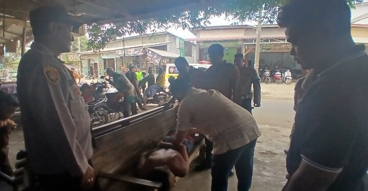 Dukung Swasembada Bawang Putih Nasional, Polda Sumsel Targetkan Panen 810 Ton