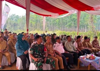 Dukung Kemandirian Petani, PLN UIP Sumbagsel Meluncurkan Program Smart Greenhouse Melon Berbasis IoT Pertama di Sumsel