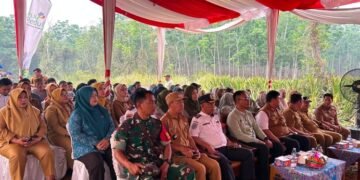 Dukung Kemandirian Petani, PLN UIP Sumbagsel Meluncurkan Program Smart Greenhouse Melon Berbasis IoT Pertama di Sumsel