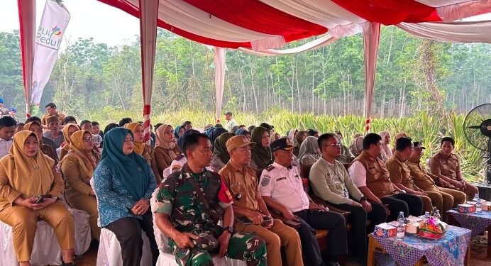 Dukung Kemandirian Petani, PLN UIP Sumbagsel Meluncurkan Program Smart Greenhouse Melon Berbasis IoT Pertama di Sumsel