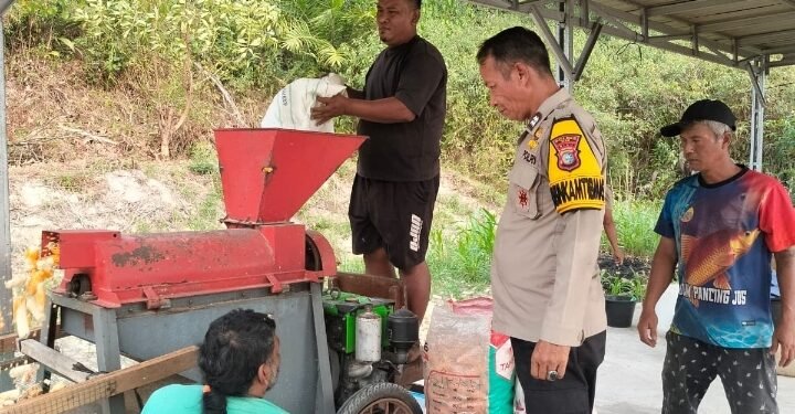 Bhabinkamtibmas Sialang Baru Bersama Petani, Lakukan Penggilingan Jagung Pipil