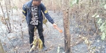 Operasi Aman Nusa II, Tim Gabungan Padamkan Karhutla Dekat Sumur Produksi Pertamina di Lembak