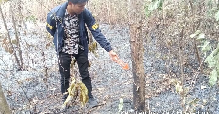 Operasi Aman Nusa II, Tim Gabungan Padamkan Karhutla Dekat Sumur Produksi Pertamina di Lembak
