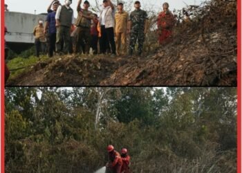 Menhut Ingatkan Ancaman Karhutla di Lahan Gambut OKI