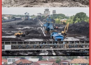 PTBA Jaga Kinerja dan Perkuat Portofolio Bisnis untuk Pertumbuhan Jangka Panjang