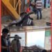 Gerebek Sarang Narkoba di Kabanjahe, Delapan Orang Diamankan